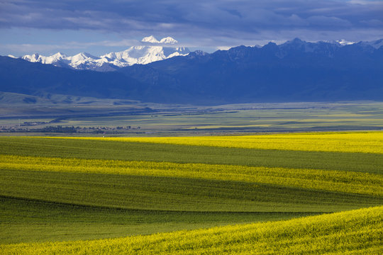 The image of landscape