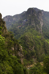 The image of beautiful nature