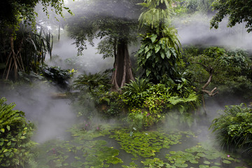 The image of beautiful nature