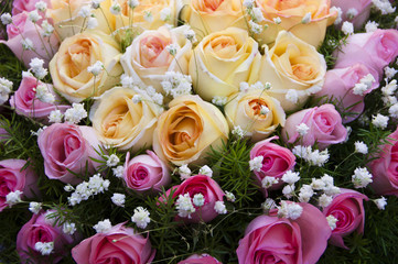 The image of beautiful nature