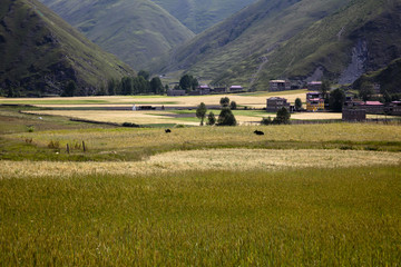 The image of landscape