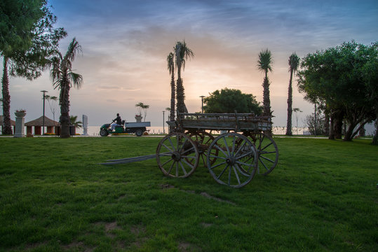 at arabası
