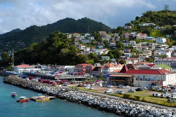 Cercles muraux Caraïbes Le port de St George Grenade