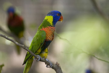 The image of beautiful nature