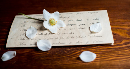 Romantic love letter and white flower. Vintage retro background.