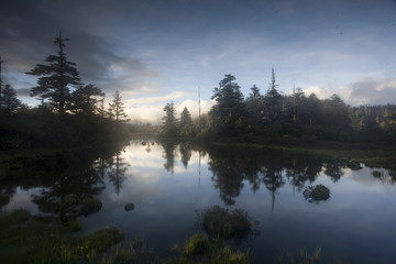 Fototapeta premium The image of beautiful nature