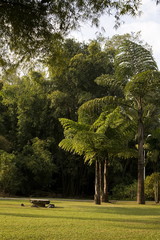 The image of beautiful nature