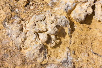 Beige limestone surface background