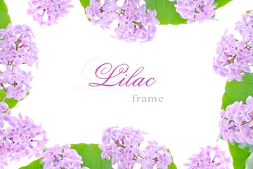 Lilac frame - obrazy, fototapety, plakaty