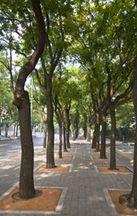 The image of travel destinations