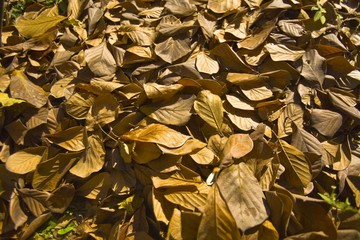 The image of beautiful nature in Beijing