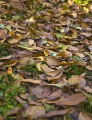 The image of beautiful nature in Beijing