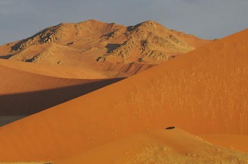 Fototapeta na wymiar Sanddünen nahe der Düne 45 im Namib-Naukluft-Park