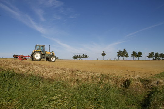 Terreno agricolo