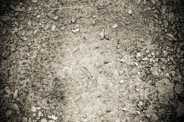 Gravel in mud texture background