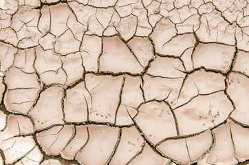 Soil cracks