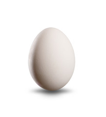 White egg isolated on white background