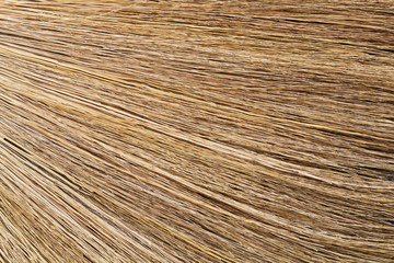 unuaual abstract background of dried plant stick