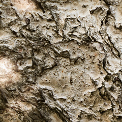 grunge, unusual, weathered stone background texture, square