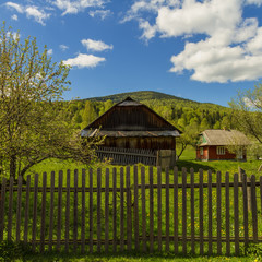 Fototapeta na wymiar House In Carpathians Mountains