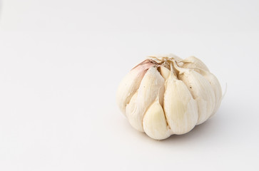  garlic