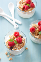 healthy breakfast with yogurt granola and raspberry
