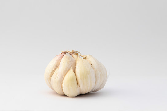  garlic