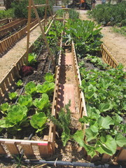 enclosure garden