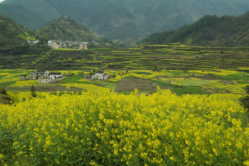 Obraz premium The image of landscape
