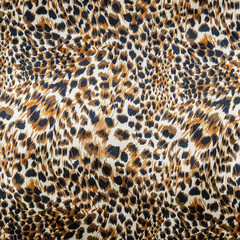 The fabric on striped leopard