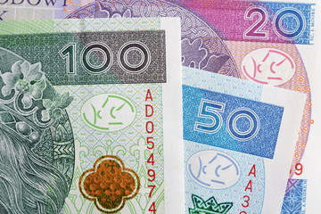 Polish zloty -new banknotes - obrazy, fototapety, plakaty