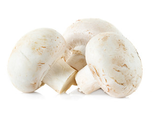 mushrooms champignons isolated