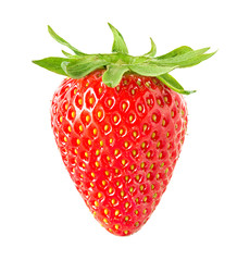 strawberry isolated