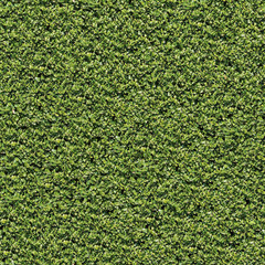 Laurel Bush. Seamless Tileable Texture.