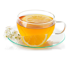 cup of tea