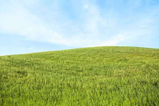 Field and sky