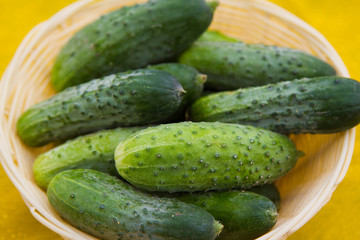 Cucumbers