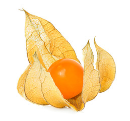 Physalis fruit isolated