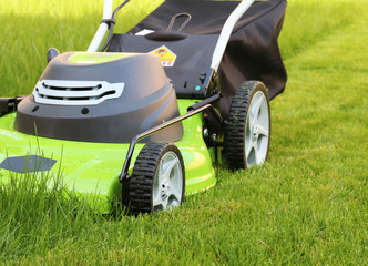 cutting the grass with lawn mower
