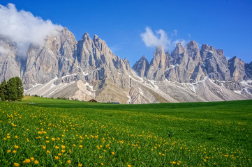 Green field and mountains
