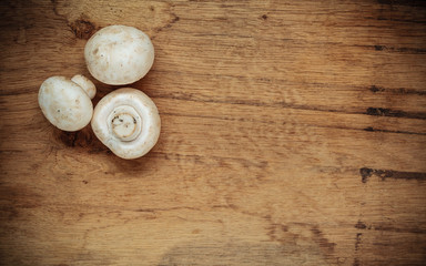 Food. Fresh white mushrooms champigonons