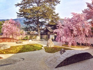 春の日本庭園