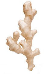 Ginger root