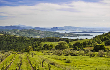 Fototapeta na wymiar Italian landscape from Umbria