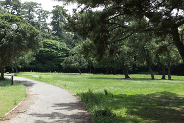 The image of beautiful scenery