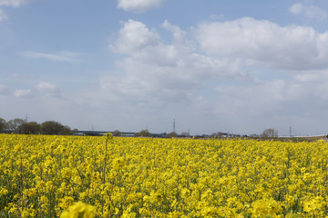 The image of beautiful scenery