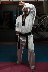 Taekwondo Fighter Pose