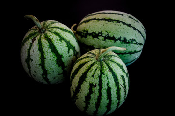 Melon in the Dark