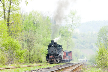 Obraz premium narrow gauge railway, Banovici, Bosnia and Hercegovina
