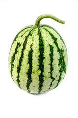 Striped Watermelon